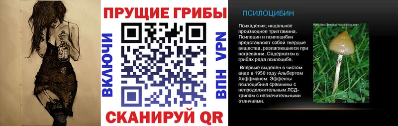 Купить  Саяногорск  Псилоцибиновые грибы Magic Shrooms 